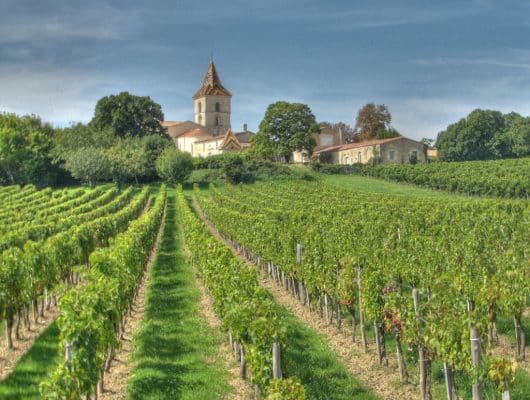 Cru Bourgeois Chateau and Vineyards